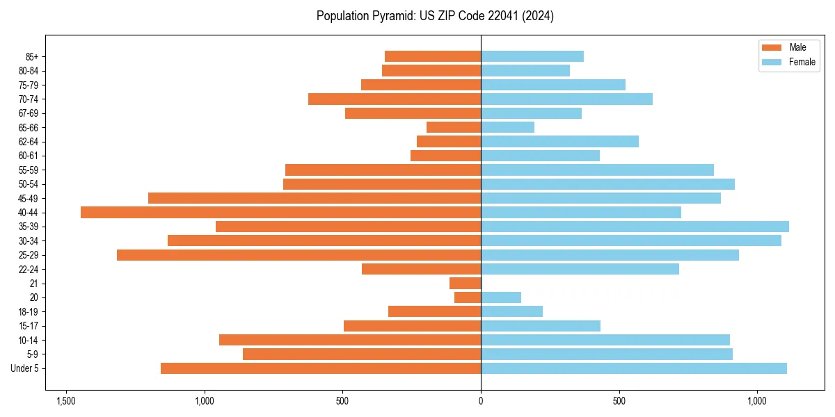 Population pyramid for 