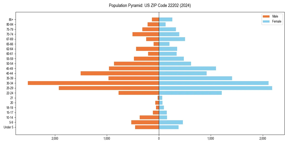 Population pyramid for 