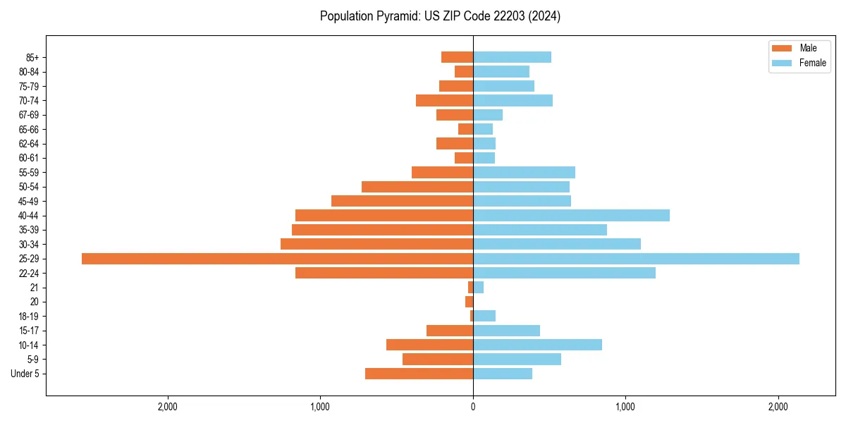 Population pyramid for 