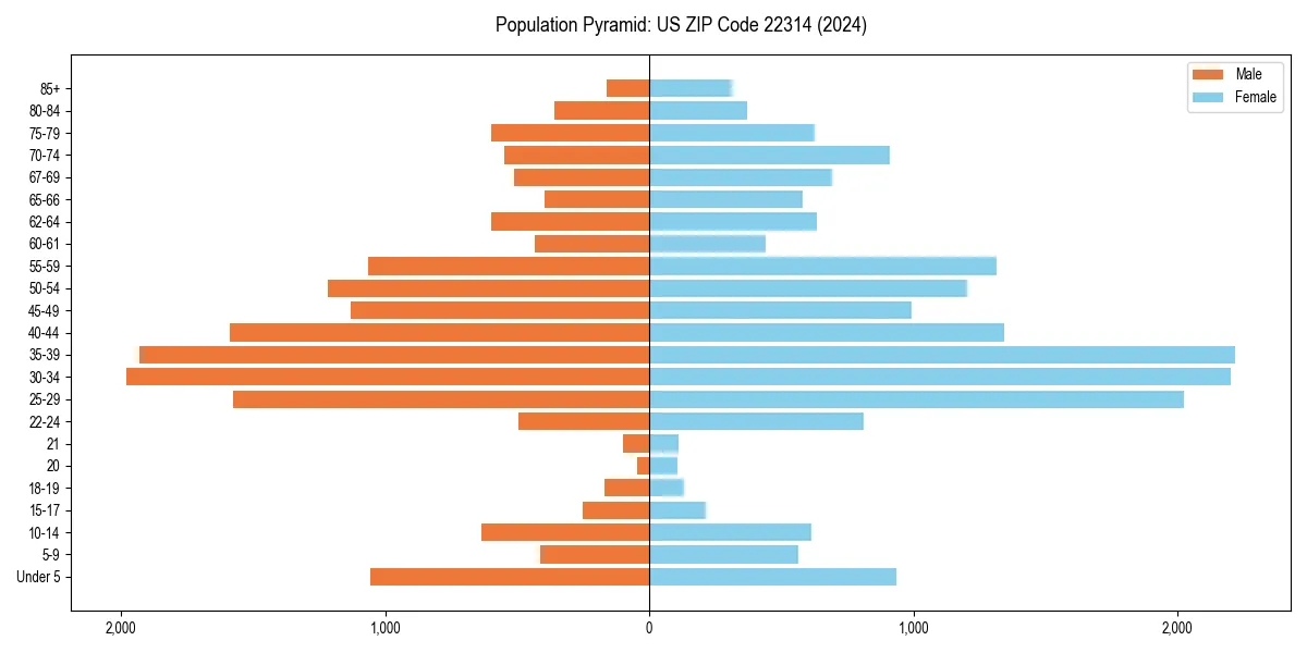 Population pyramid for 