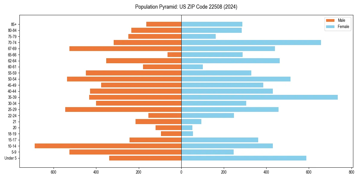 Population pyramid for 