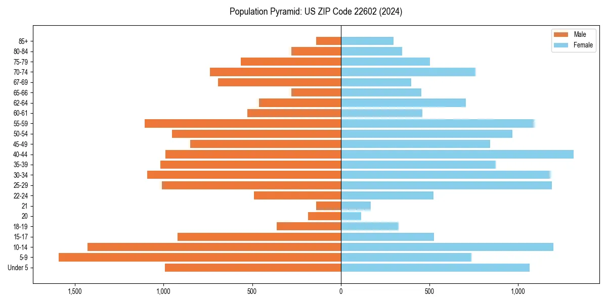 Population pyramid for 