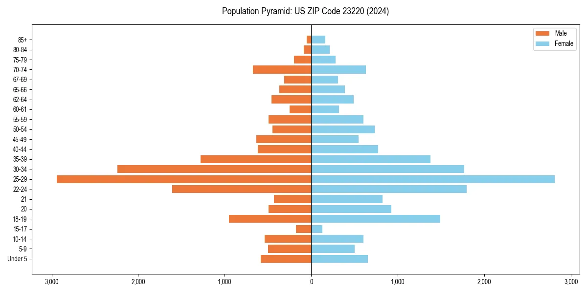 Population pyramid for 