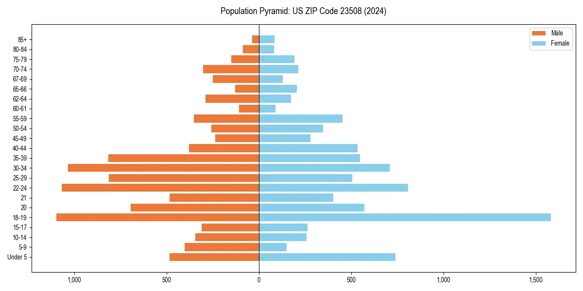 Population pyramid for 