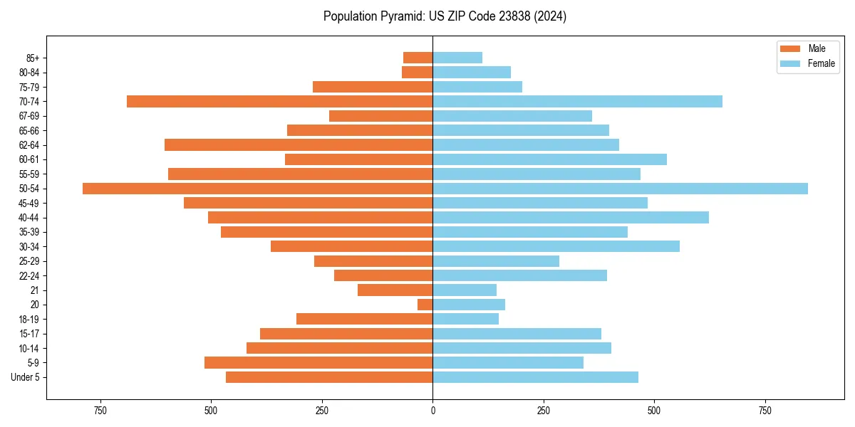 Population pyramid for 