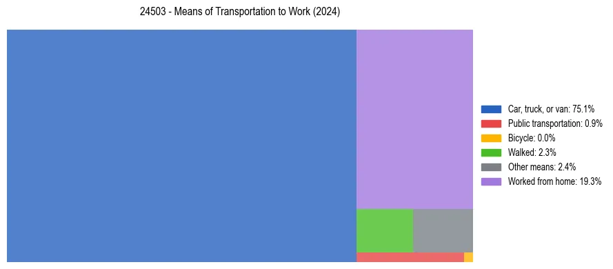 Commute modes in US ZIP Code 24503