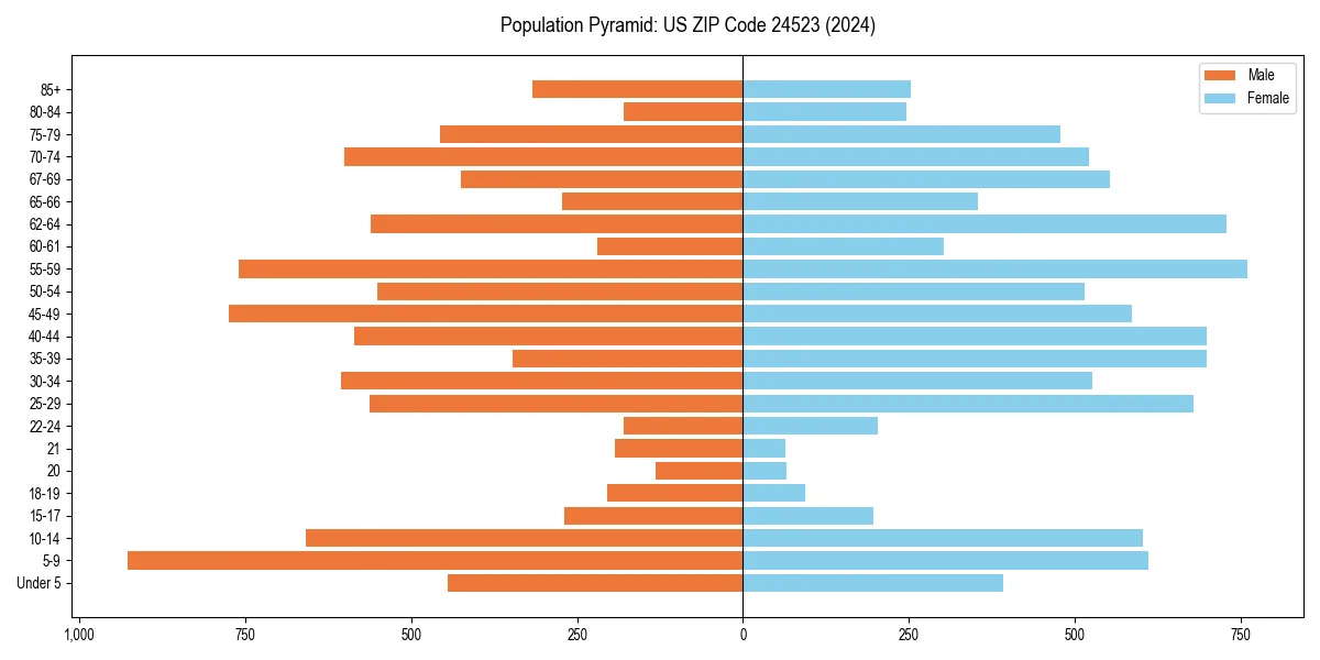 Population pyramid for 
