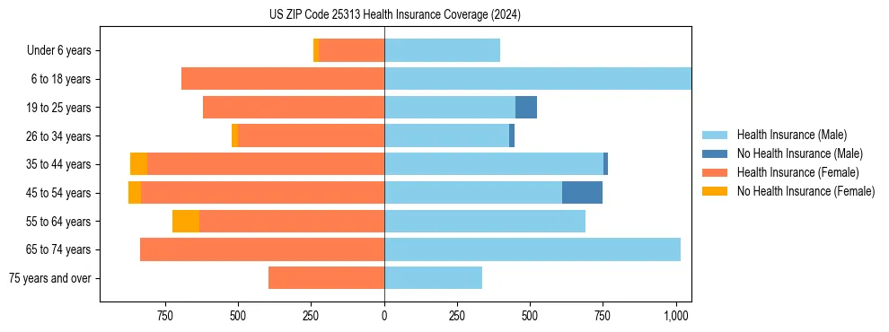 Health insurance pyramid for US ZIP Code 25313