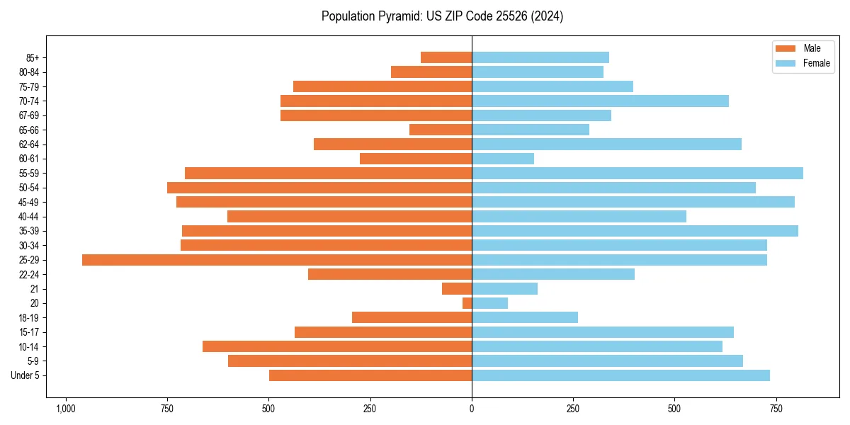 Population pyramid for 