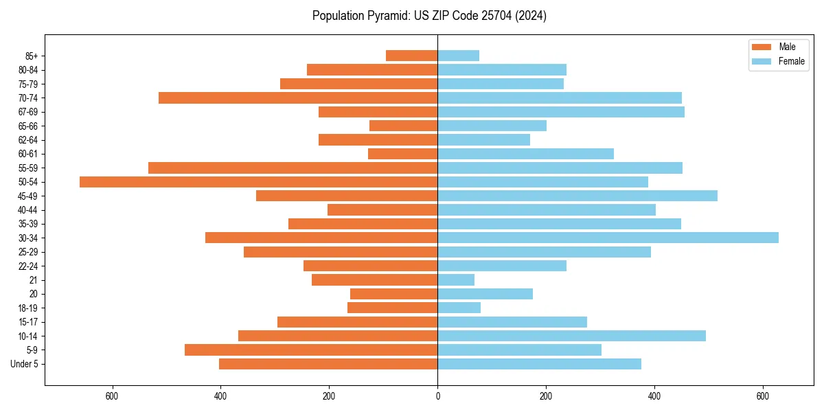 Population pyramid for 
