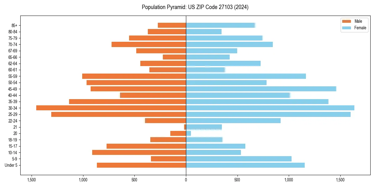 Population pyramid for 