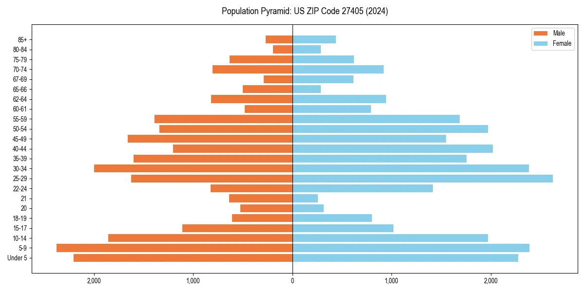 Population pyramid for 