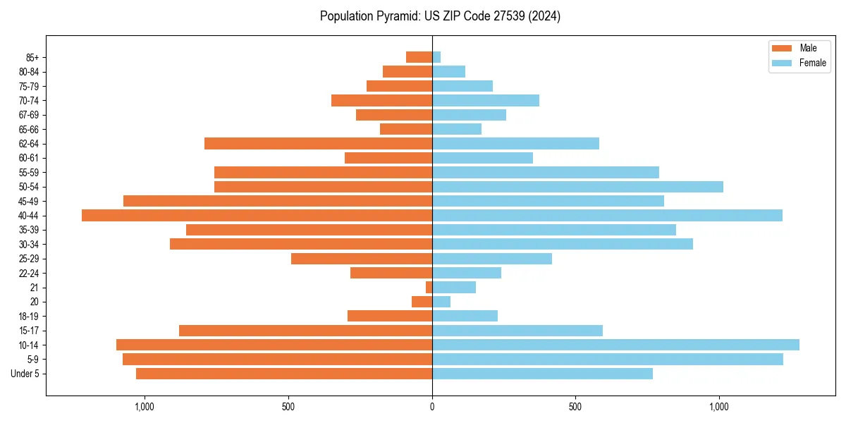 Population pyramid for 