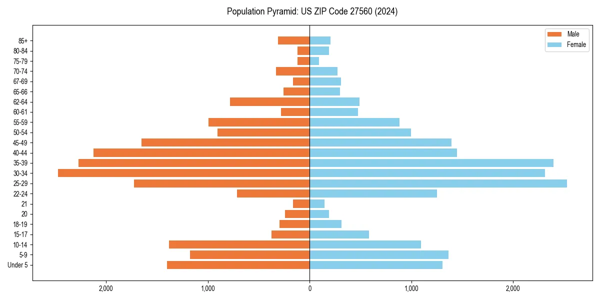 Population pyramid for 