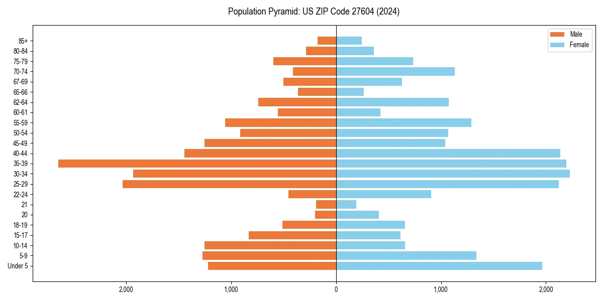 Population pyramid for 