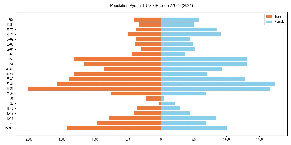 Population pyramid for 