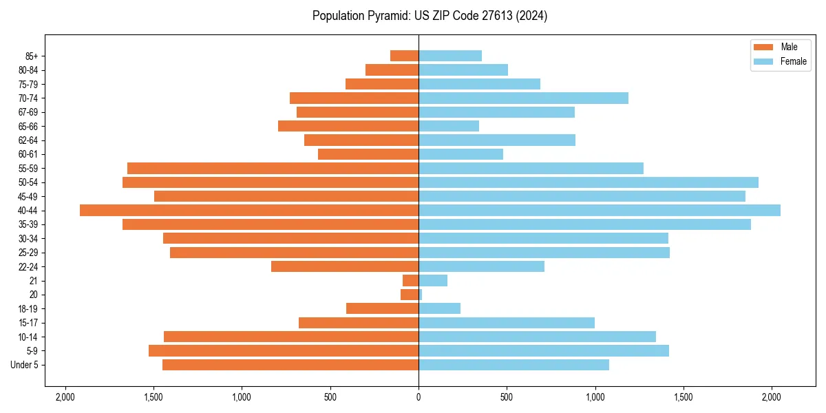 Population pyramid for 