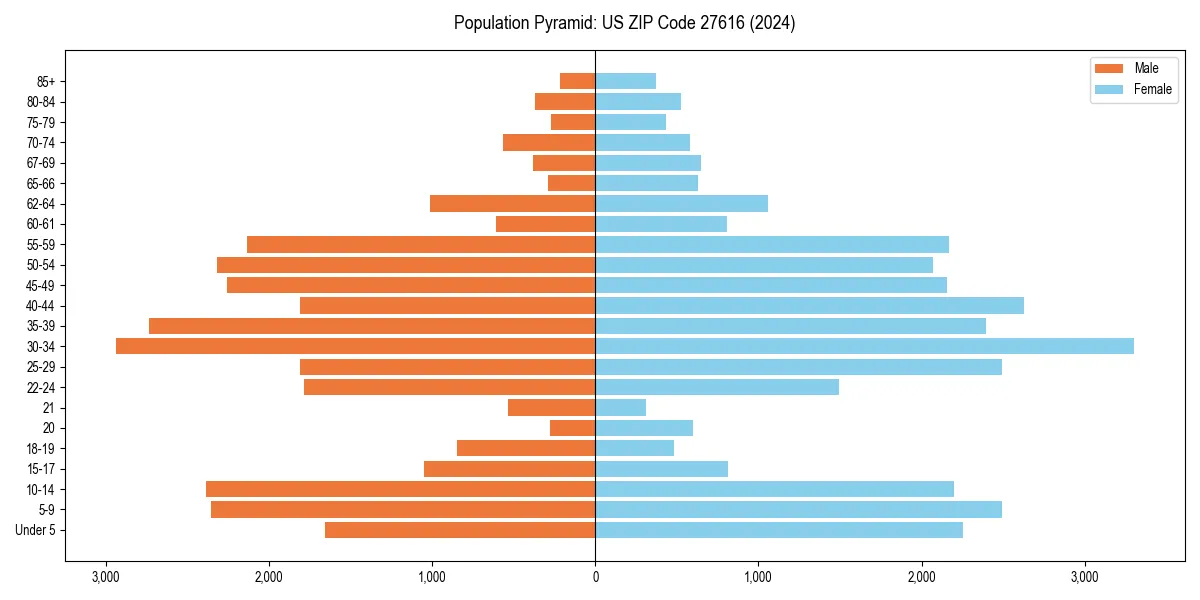 Population pyramid for 