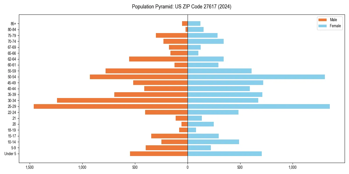 Population pyramid for 
