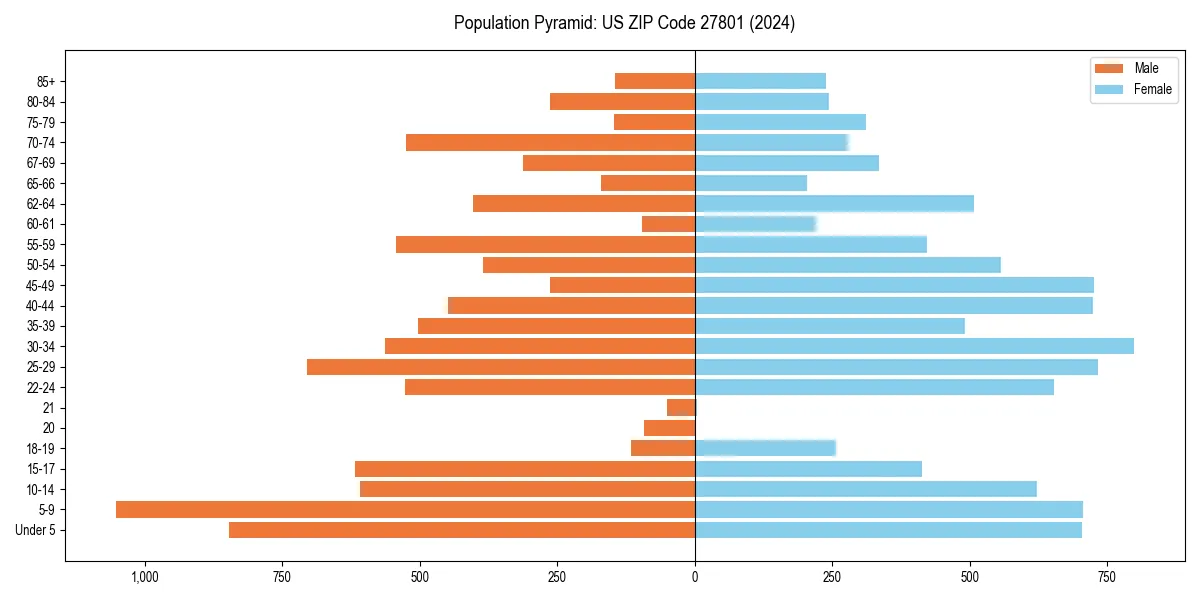 Population pyramid for 