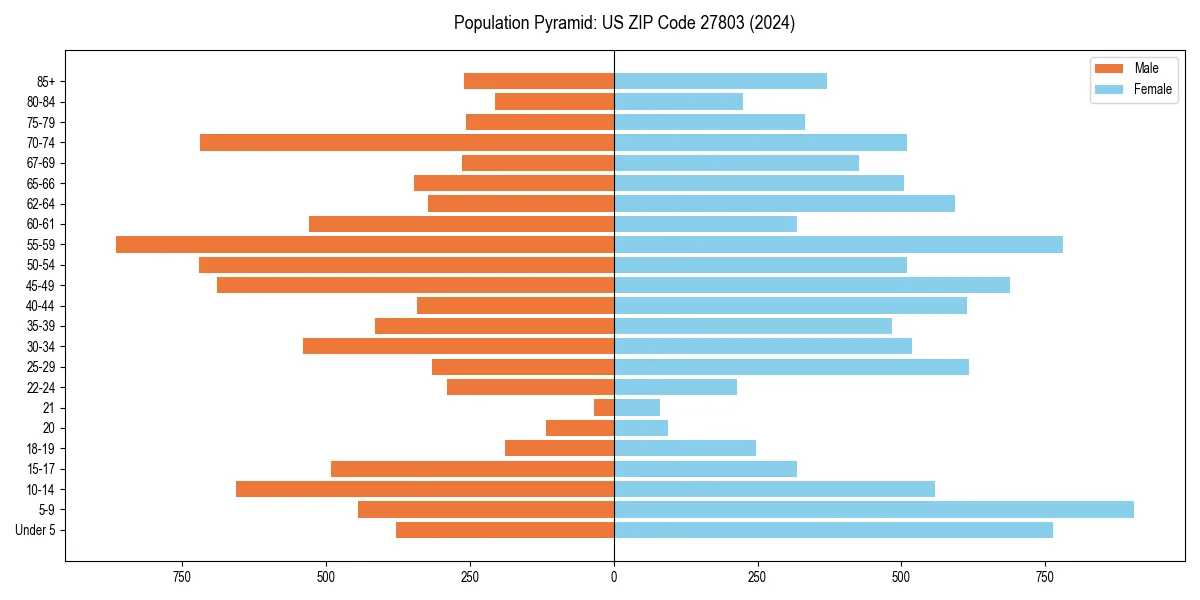 Population pyramid for 