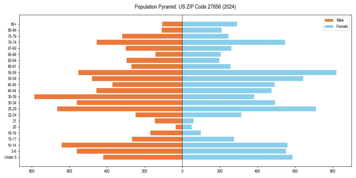 Population pyramid for 