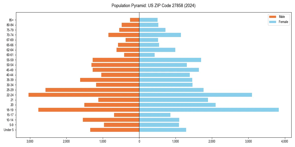 Population pyramid for 