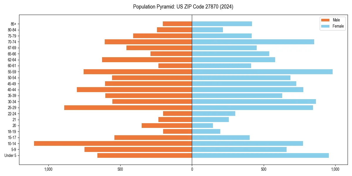 Population pyramid for 