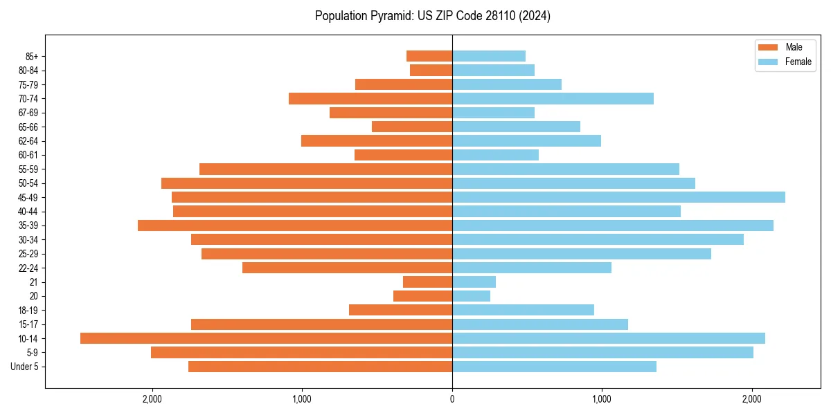 Population pyramid for