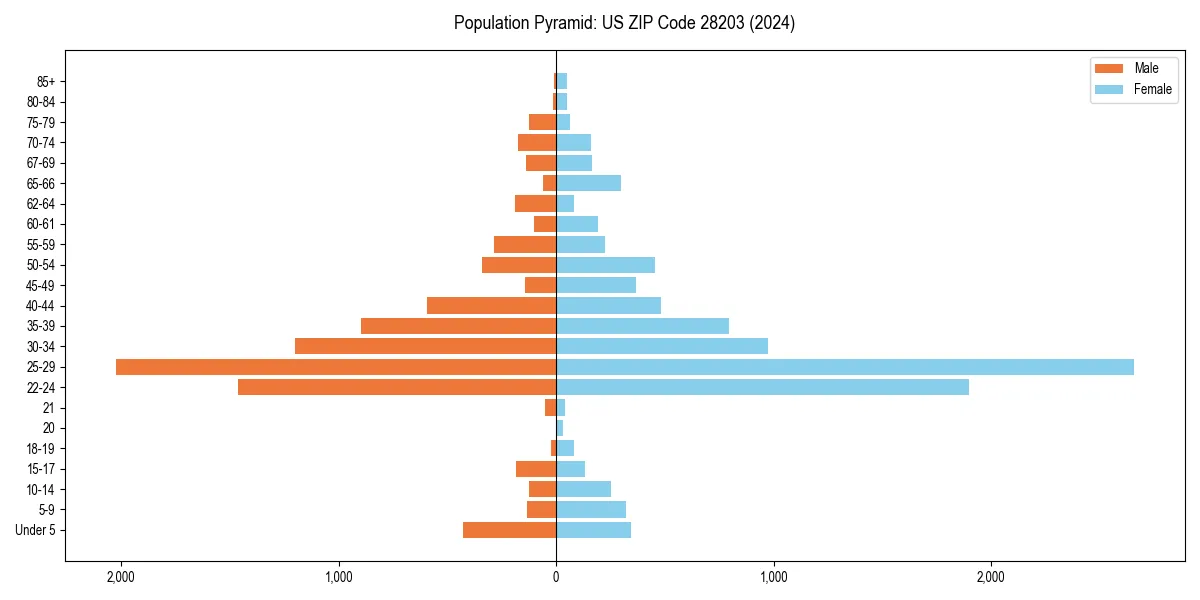 Population pyramid for 