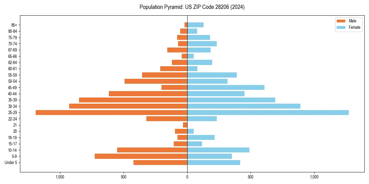 Population pyramid for 