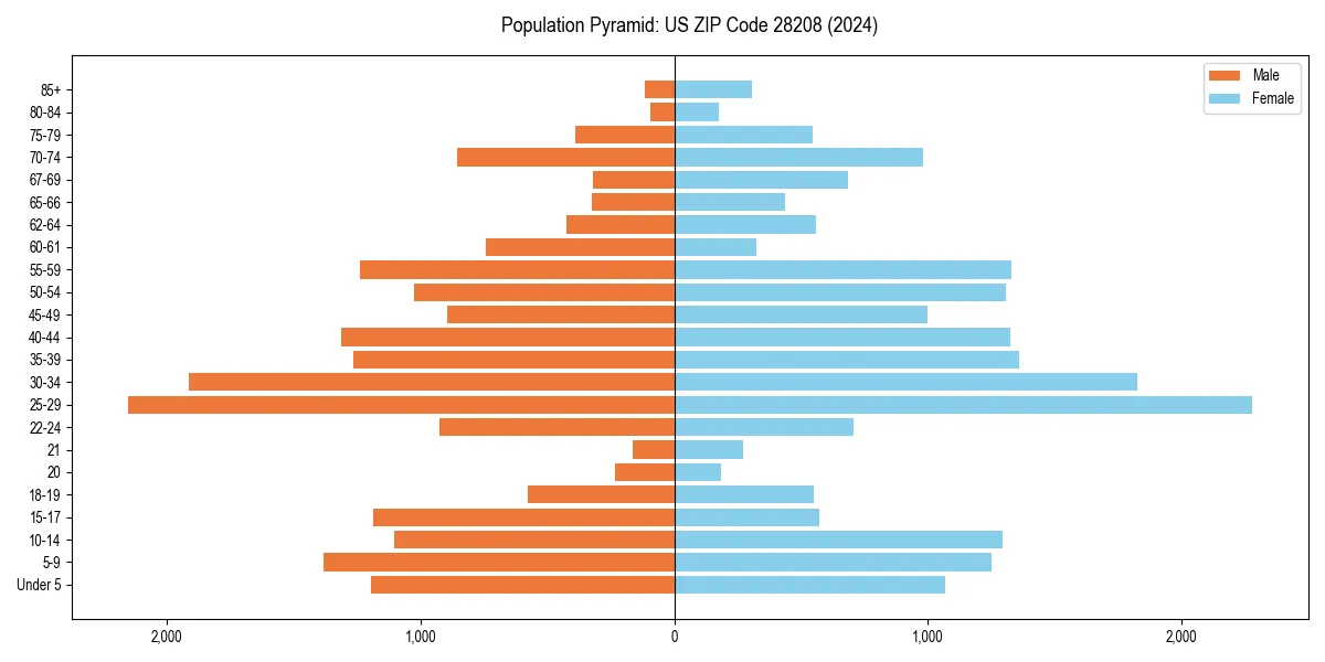 Population pyramid for 