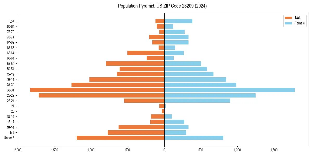 Population pyramid for 