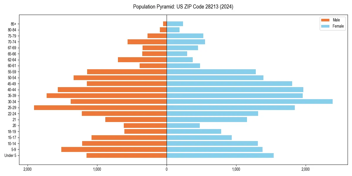 Population pyramid for 