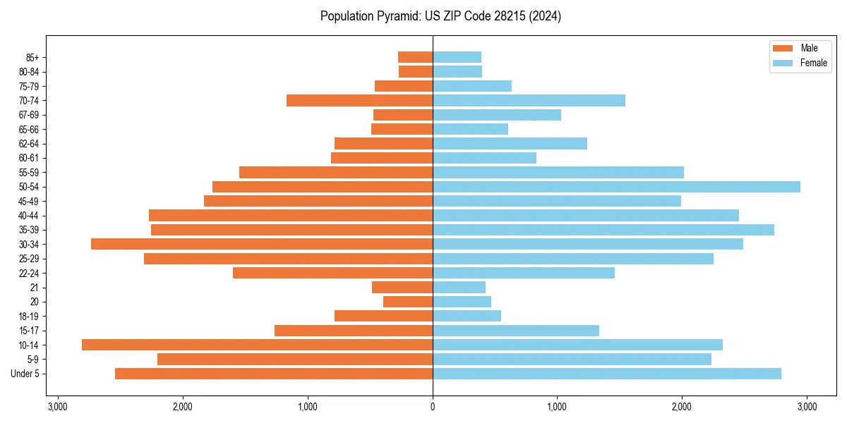 Population pyramid for 