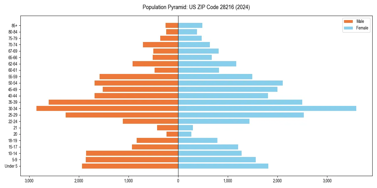 Population pyramid for 