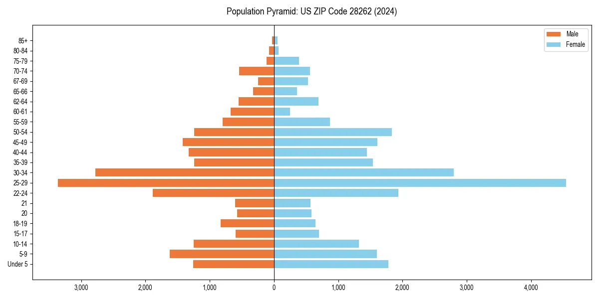 Population pyramid for 