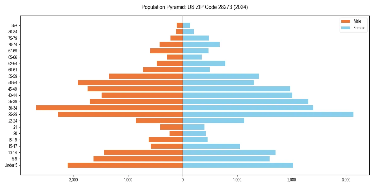 Population pyramid for 