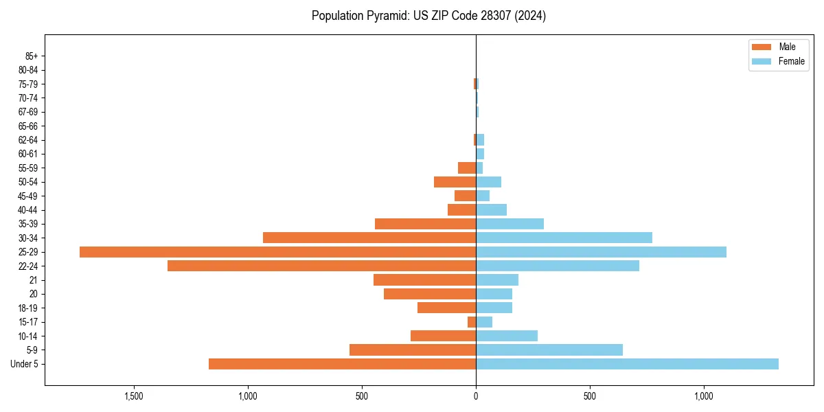 Population pyramid for 