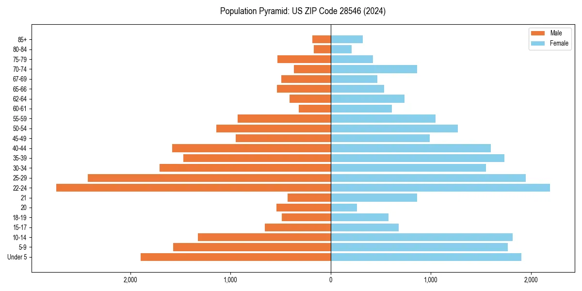Population pyramid for 