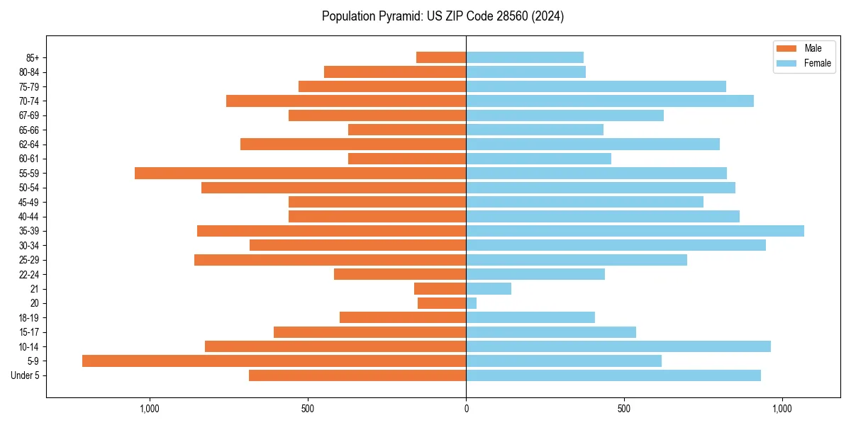 Population pyramid for 