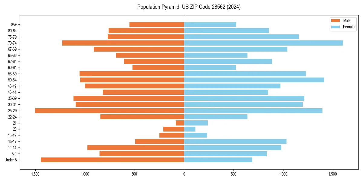 Population pyramid for 