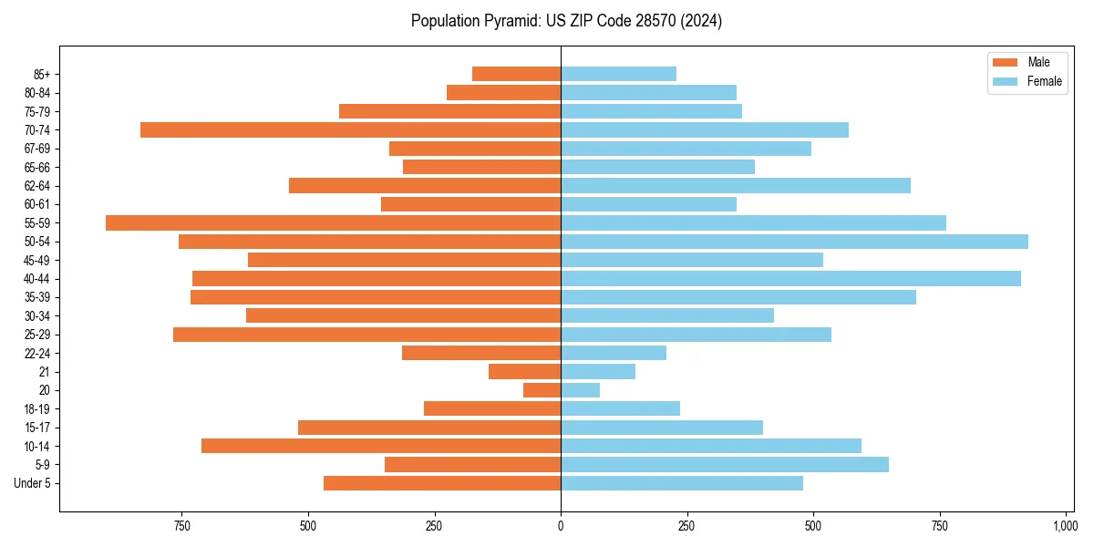 Population pyramid for 