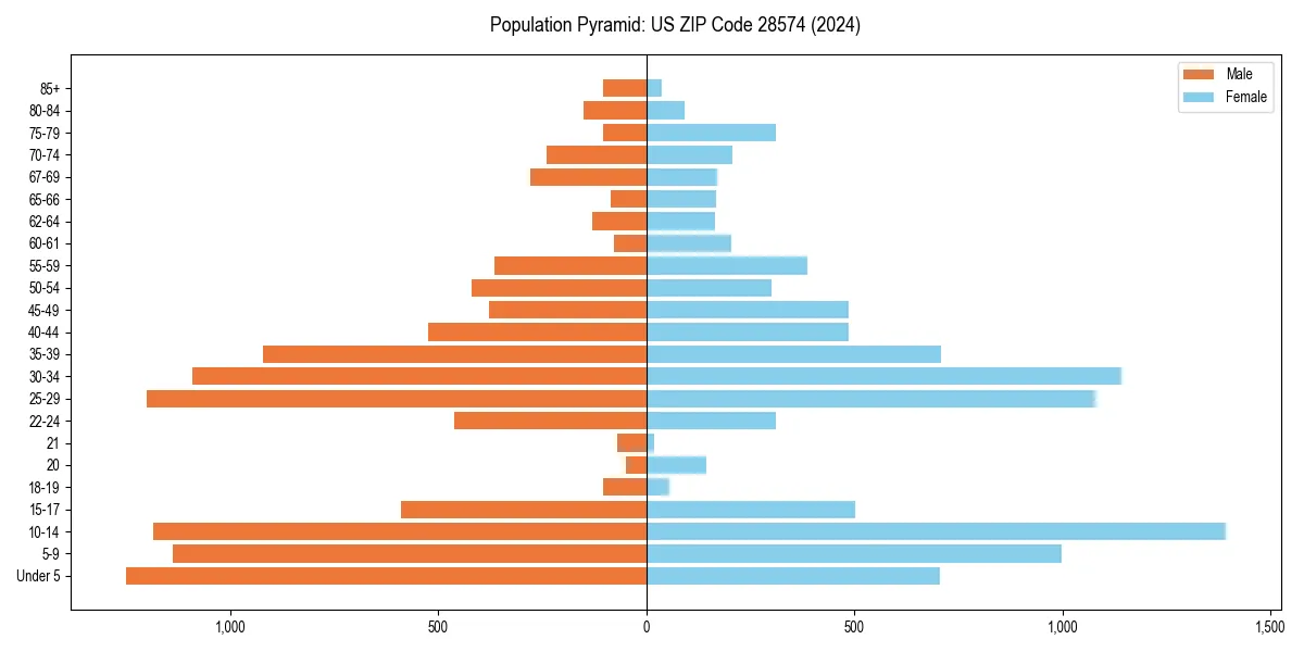 Population pyramid for 