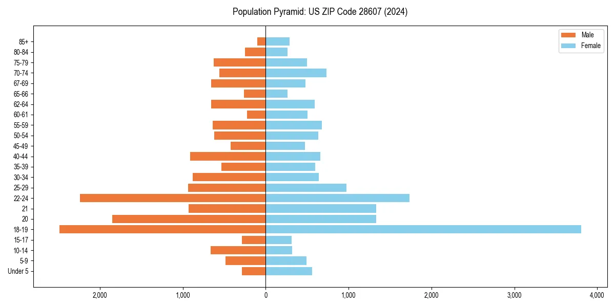 Population pyramid for 