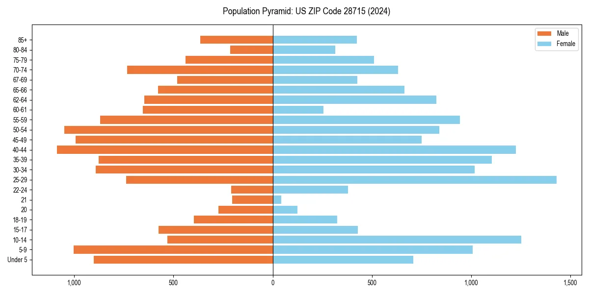 Population pyramid for 