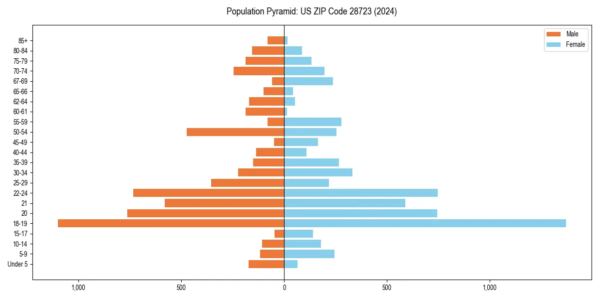 Population pyramid for 