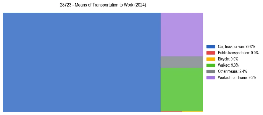 Commute modes in US ZIP Code 28723
