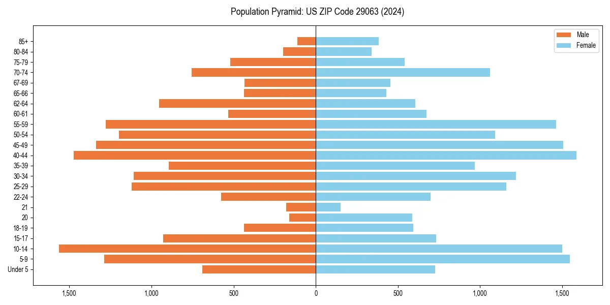 Population pyramid for