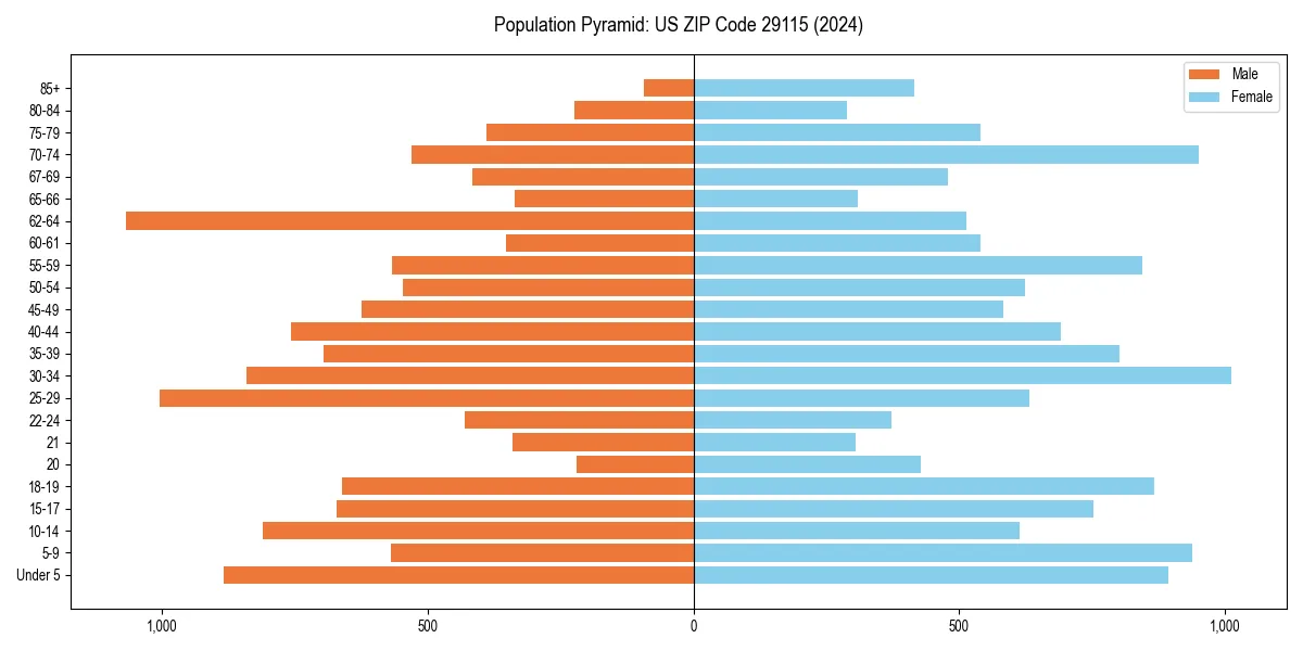 Population pyramid for 